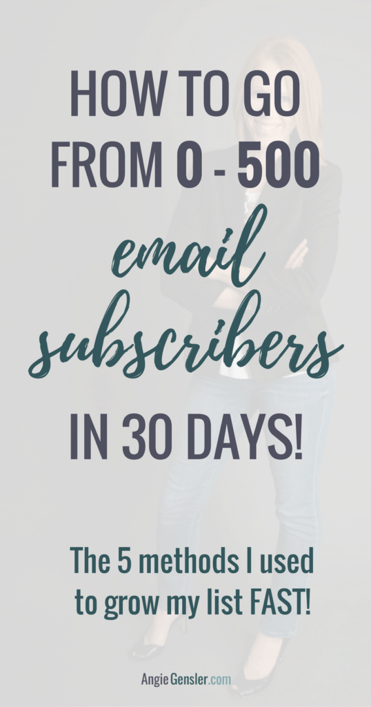 How I went from 0 - 500 email subscribers in 30 days_Pin
