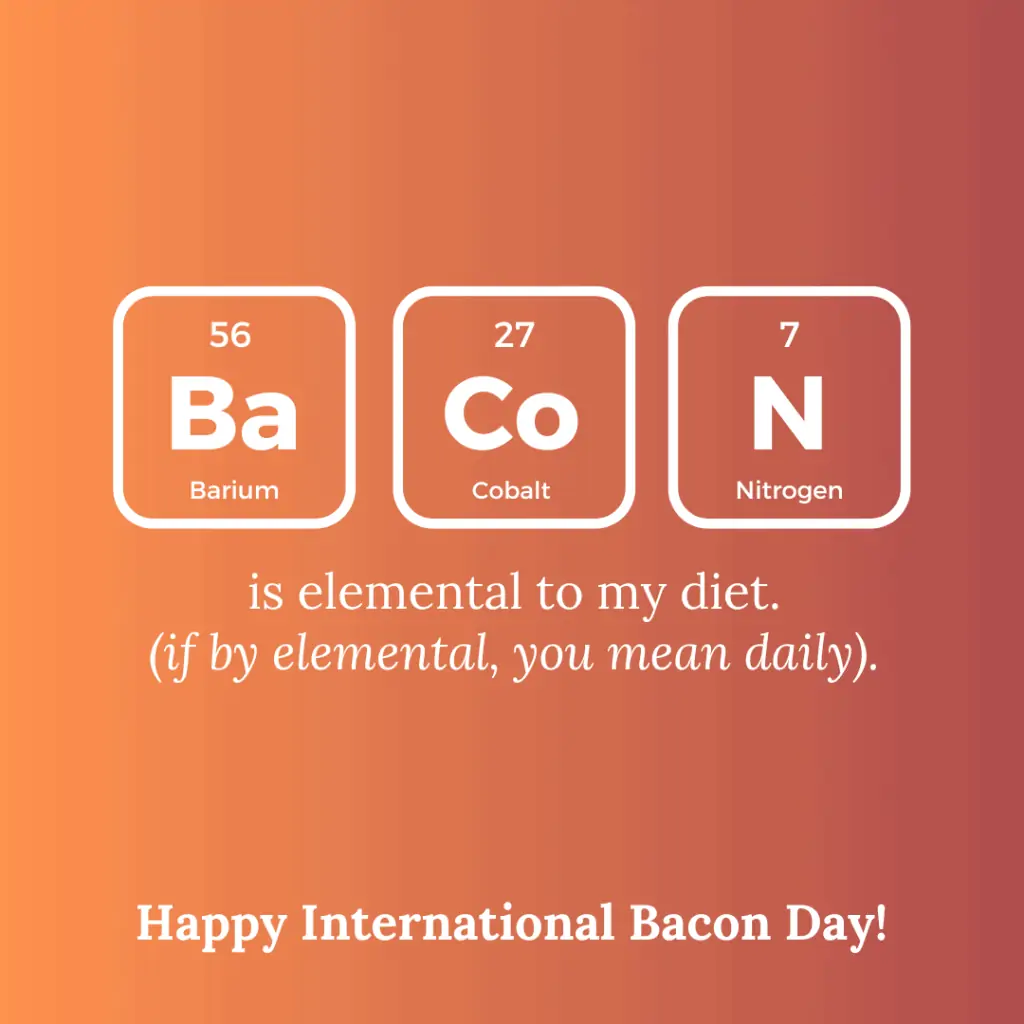 international bacon day holidays blog post image