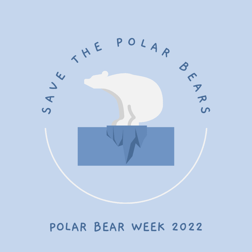 polar bear week