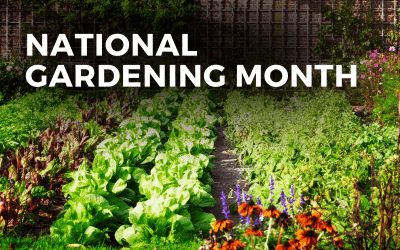 Grow Your Business with National Garden Month – April 2023