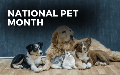 National Pet Month – April 2023
